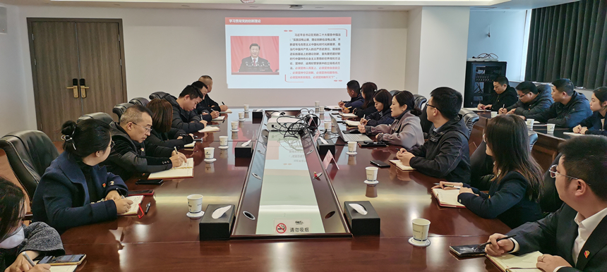 集團(tuán)黨委委員、副總經(jīng)理賀維維同志講授專題黨課